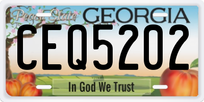 GA license plate CEQ5202