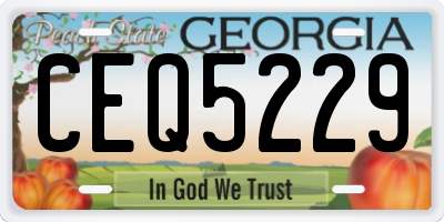 GA license plate CEQ5229