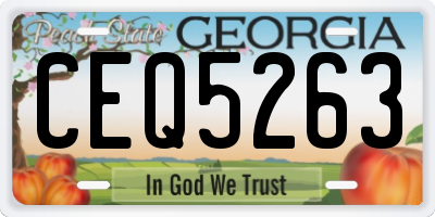 GA license plate CEQ5263