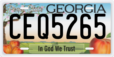 GA license plate CEQ5265