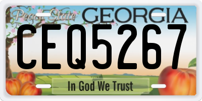 GA license plate CEQ5267