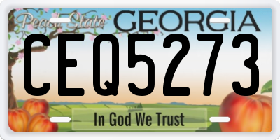 GA license plate CEQ5273