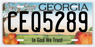 GA license plate CEQ5289