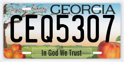 GA license plate CEQ5307