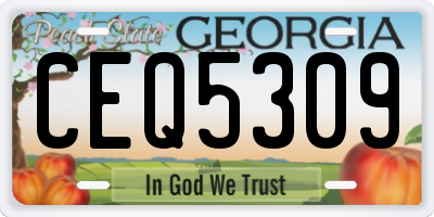 GA license plate CEQ5309