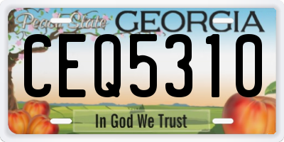 GA license plate CEQ5310