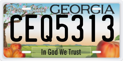 GA license plate CEQ5313