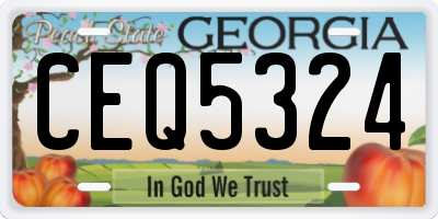 GA license plate CEQ5324