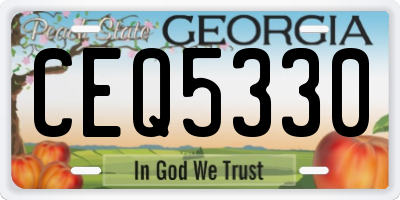 GA license plate CEQ5330
