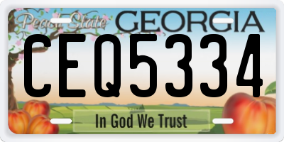 GA license plate CEQ5334