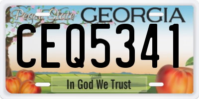 GA license plate CEQ5341