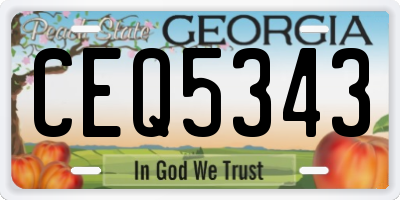 GA license plate CEQ5343