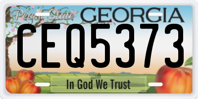 GA license plate CEQ5373