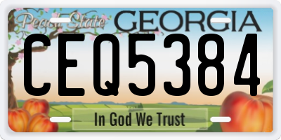 GA license plate CEQ5384