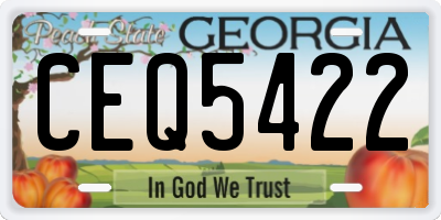 GA license plate CEQ5422