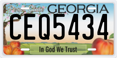 GA license plate CEQ5434