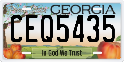 GA license plate CEQ5435