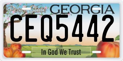 GA license plate CEQ5442