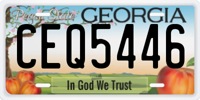 GA license plate CEQ5446