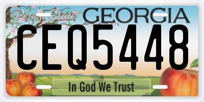 GA license plate CEQ5448