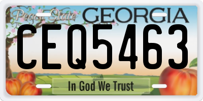 GA license plate CEQ5463