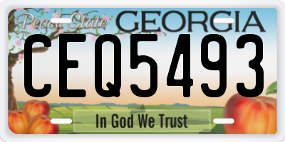 GA license plate CEQ5493