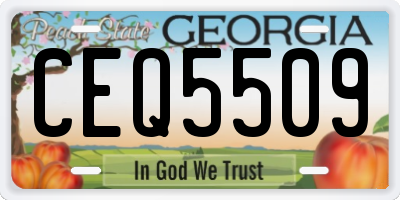 GA license plate CEQ5509