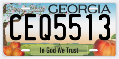 GA license plate CEQ5513