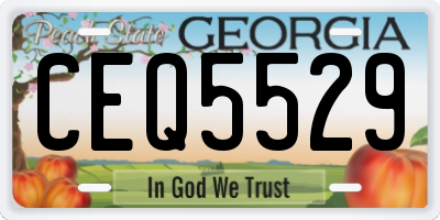 GA license plate CEQ5529