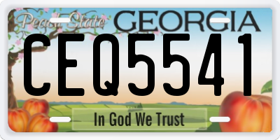 GA license plate CEQ5541