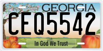 GA license plate CEQ5542