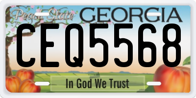 GA license plate CEQ5568