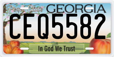 GA license plate CEQ5582
