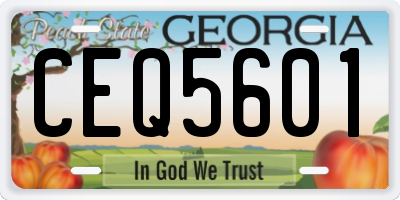 GA license plate CEQ5601