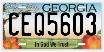 GA license plate CEQ5603
