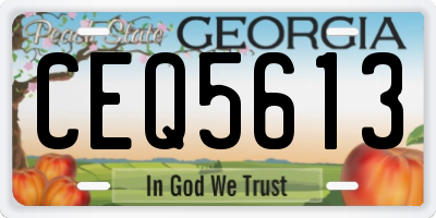 GA license plate CEQ5613