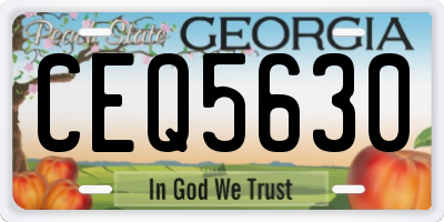GA license plate CEQ5630
