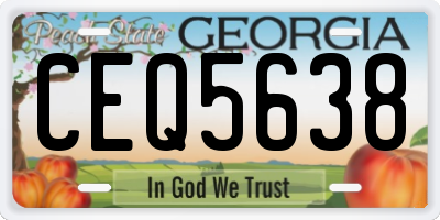 GA license plate CEQ5638