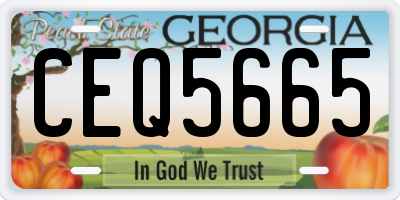 GA license plate CEQ5665