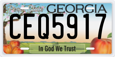 GA license plate CEQ5917