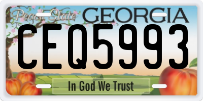 GA license plate CEQ5993