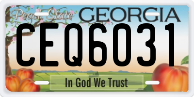 GA license plate CEQ6031