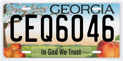 GA license plate CEQ6046