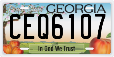 GA license plate CEQ6107