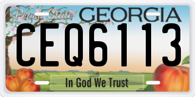 GA license plate CEQ6113