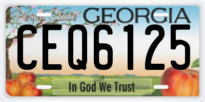 GA license plate CEQ6125