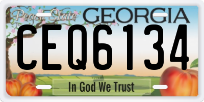 GA license plate CEQ6134