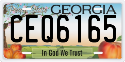 GA license plate CEQ6165