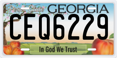 GA license plate CEQ6229
