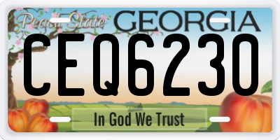 GA license plate CEQ6230